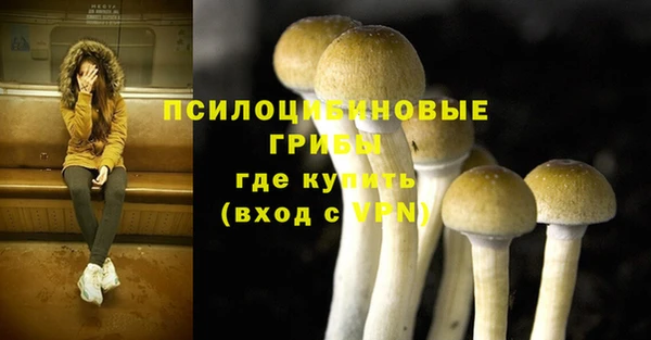 бошки Ростов