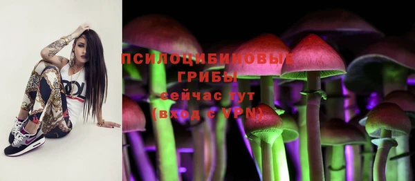 бошки Ростов